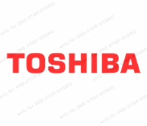Toshiba